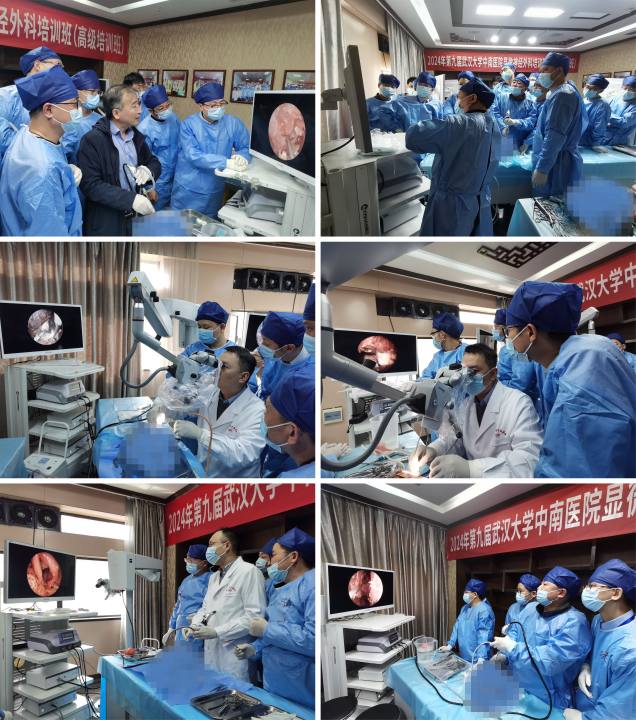 专家示教